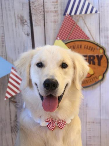 20240911レオくん